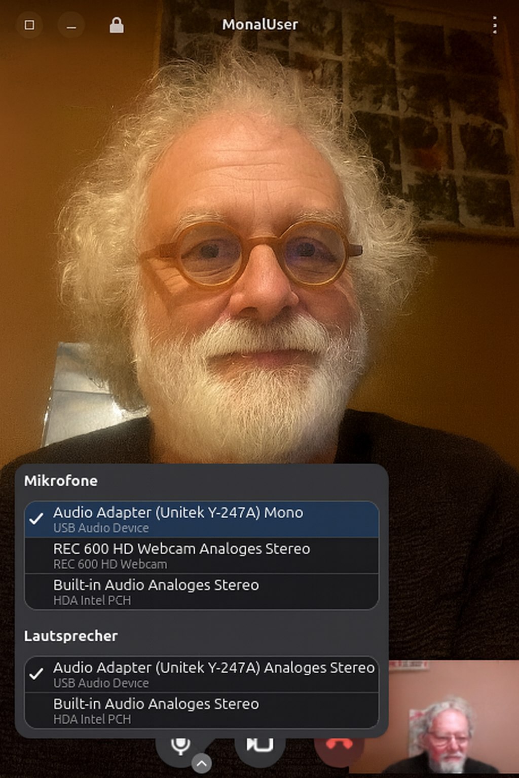 DinoX one-on-one video and audio call interface with mute and camera controls