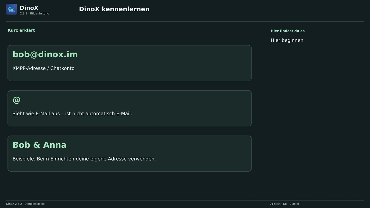 DinoX kennenlernen