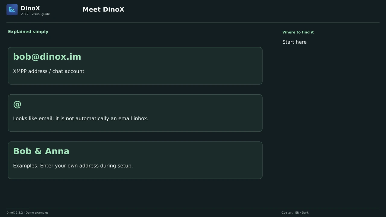 Meet DinoX — Start here